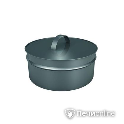 Заглушки Теплов и Сухов Заглушка ревизии Термо-Р 304 0.5 D250(150) в Брянске