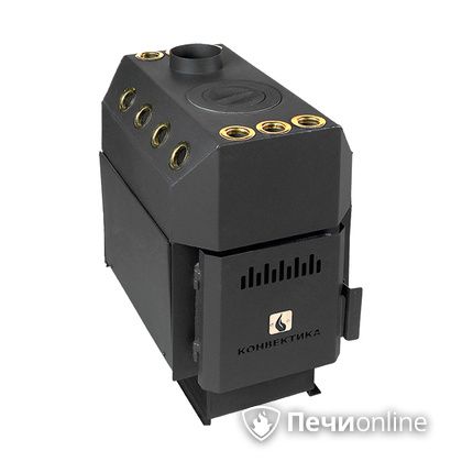 Отопительно-варочная печь Конвектика Ставр 150 с варочной поверхностью  в Брянске