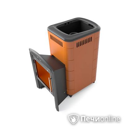 Дровяная печь-каменка TMF Тунгуска Cast Витра терракота в Брянске