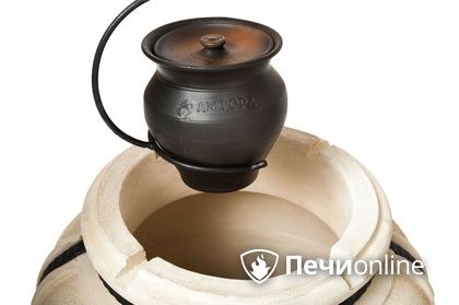 Аксессуар для приготовления на огне Амфора Чугунок 2 л в Брянске
