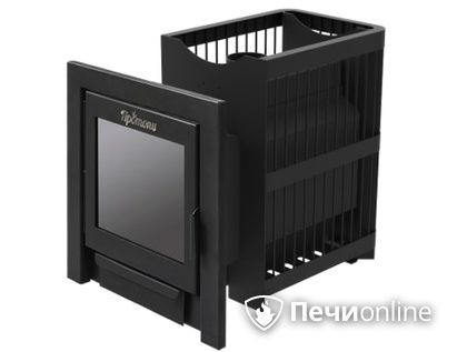 Дровяная банная печь Протопи Сетка 14 Панорама в Брянске