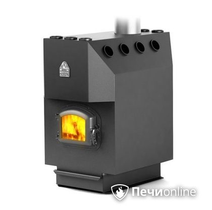 Печь-буржуйка TMF Профессор с чугунной дверцей со стеклом твердотопливная в Брянске